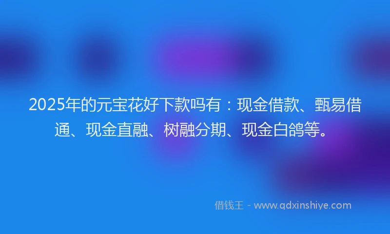 2025年的元宝花好下款吗有：现金借款、甄易借通、现金直融、树融分期、现金白鸽等。