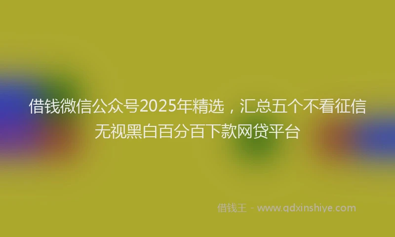 借钱微信公众号2025年精选，汇总五个不看征信无视黑白百分百下款网贷平台
