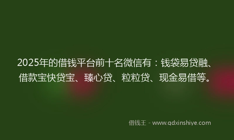 2025年的借钱平台前十名微信有：钱袋易贷融、借款宝快贷宝、臻心贷、粒粒贷、现金易借等。