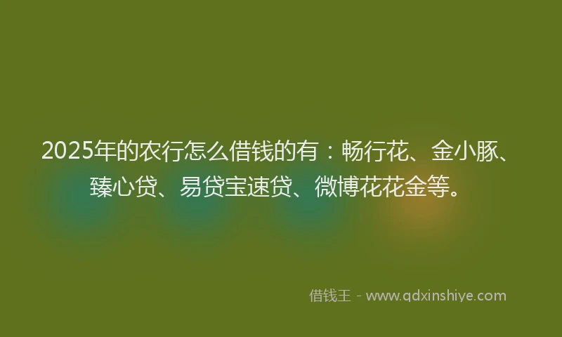 2025年的农行怎么借钱的有：畅行花、金小豚、臻心贷、易贷宝速贷、微博花花金等。