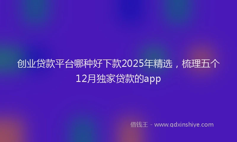 创业贷款平台哪种好下款2025年精选，梳理五个12月独家贷款的app