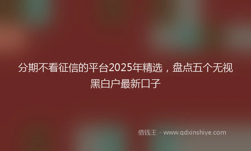 分期不看征信的平台2025年精选，盘点五个无视黑白户最新口子