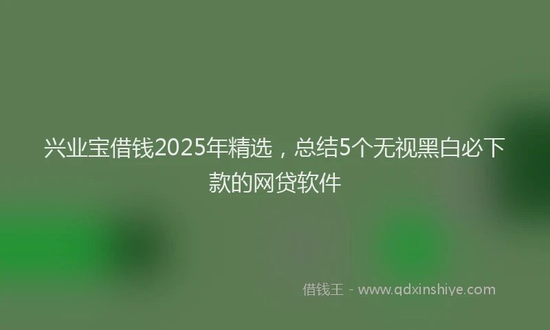 兴业宝借钱2025年精选，总结5个无视黑白必下款的网贷软件