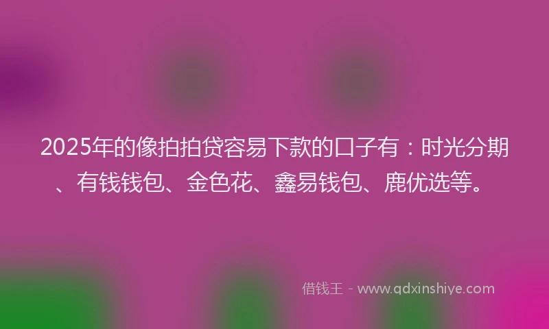 2025年的像拍拍贷容易下款的口子有：时光分期、有钱钱包、金色花、鑫易钱包、鹿优选等。