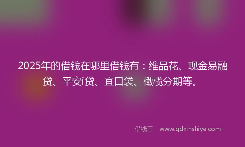 2025年的借钱在哪里借钱有：维品花、现金易融贷、平安i贷、宜口袋、橄榄分期等。