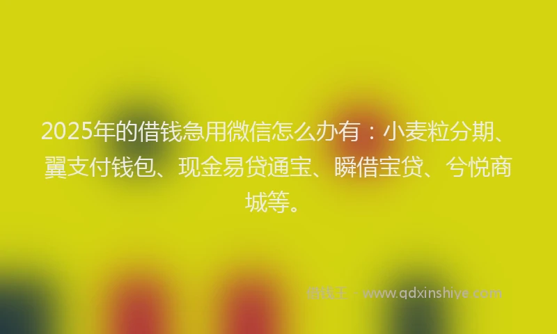 2025年的借钱急用微信怎么办有：小麦粒分期、翼支付钱包、现金易贷通宝、瞬借宝贷、兮悦商城等。