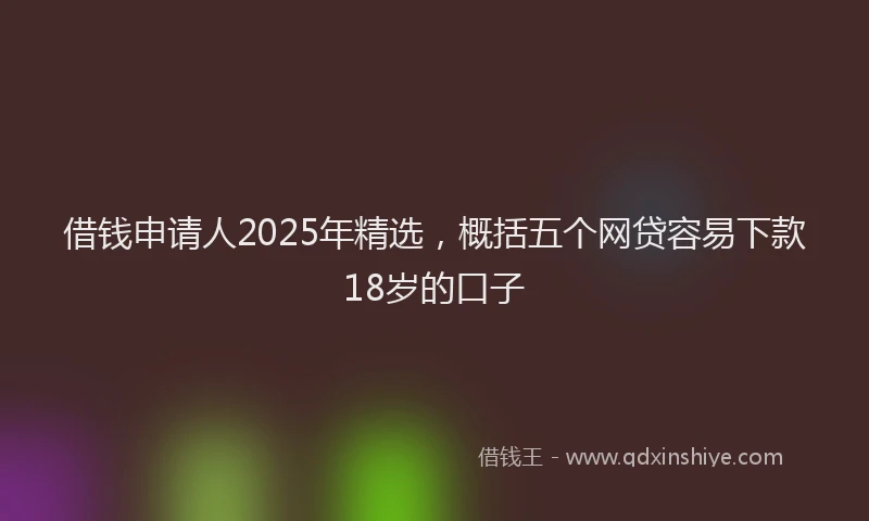 借钱申请人2025年精选，概括五个网贷容易下款18岁的口子