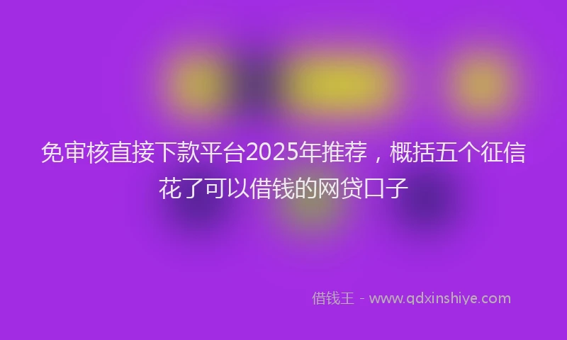 免审核直接下款平台2025年推荐，概括五个征信花了可以借钱的网贷口子