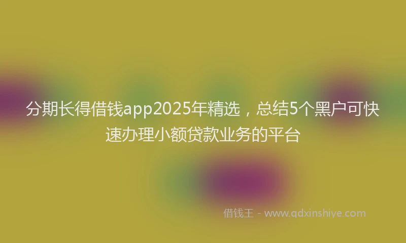 分期长得借钱app2025年精选，总结5个黑户可快速办理小额贷款业务的平台