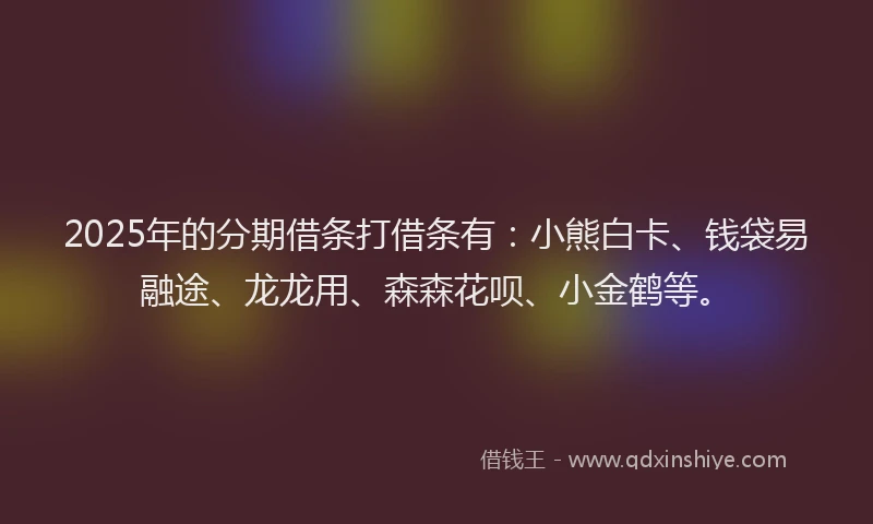 2025年的分期借条打借条有：小熊白卡、钱袋易融途、龙龙用、森森花呗、小金鹤等。