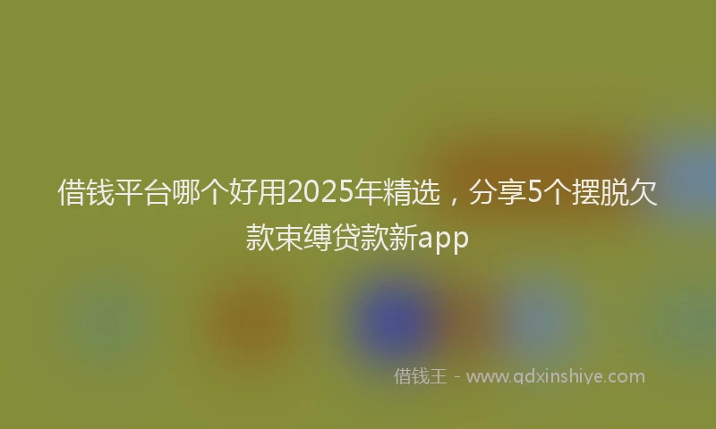借钱平台哪个好用2025年精选，分享5个摆脱欠款束缚贷款新app