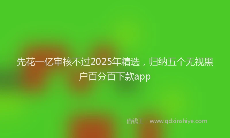 先花一亿审核不过2025年精选，归纳五个无视黑户百分百下款app