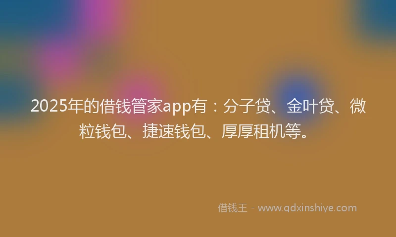 2025年的借钱管家app有：分子贷、金叶贷、微粒钱包、捷速钱包、厚厚租机等。