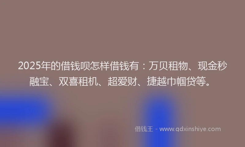 2025年的借钱呗怎样借钱有：万贝租物、现金秒融宝、双喜租机、超爱财、捷越巾帼贷等。