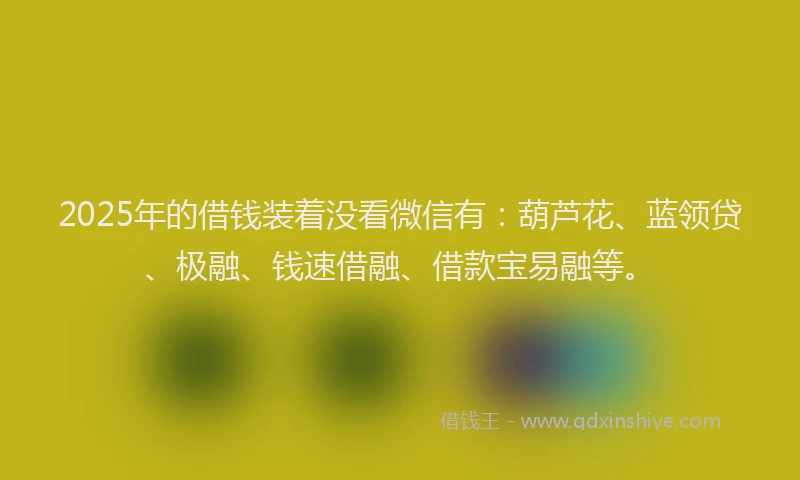 2025年的借钱装着没看微信有：葫芦花、蓝领贷、极融、钱速借融、借款宝易融等。