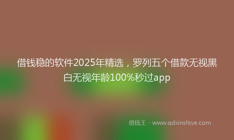 借钱稳的软件2025年精选，罗列五个借款无视黑白无视年龄100%秒过app