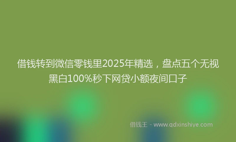 借钱转到微信零钱里2025年精选，盘点五个无视黑白100%秒下网贷小额夜间口子