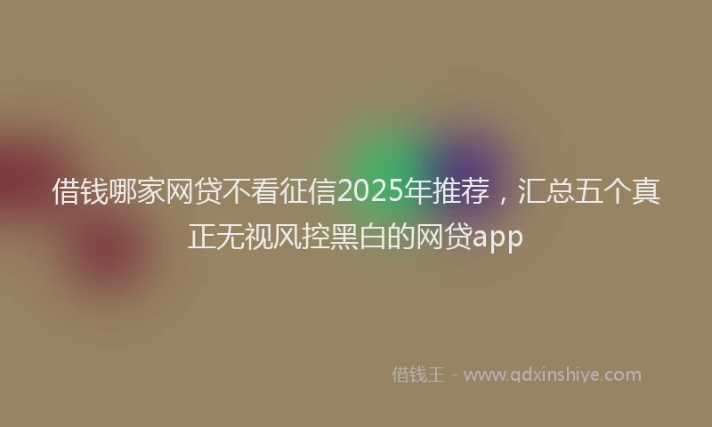 借钱哪家网贷不看征信2025年推荐，汇总五个真正无视风控黑白的网贷app