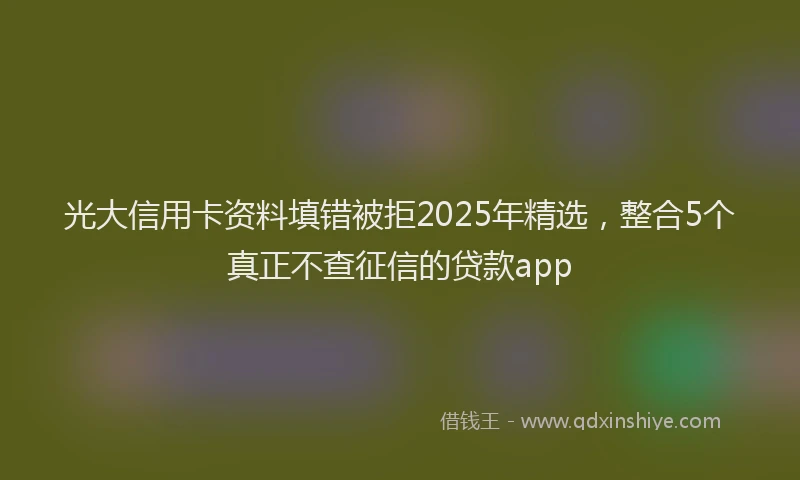 光大信用卡资料填错被拒2025年精选，整合5个真正不查征信的贷款app