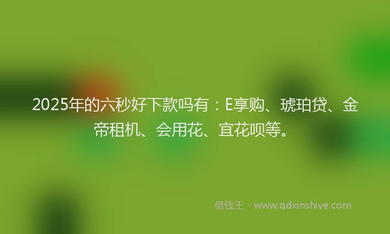2025年的六秒好下款吗有：E享购、琥珀贷、金帝租机、会用花、宜花呗等。