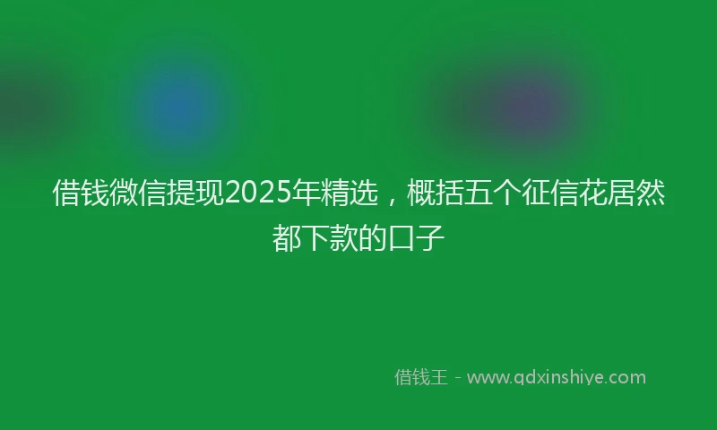 借钱微信提现2025年精选，概括五个征信花居然都下款的口子