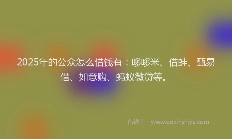 2025年的公众怎么借钱有：哆哆米、借蛙、甄易借、如意购、蚂蚁微贷等。