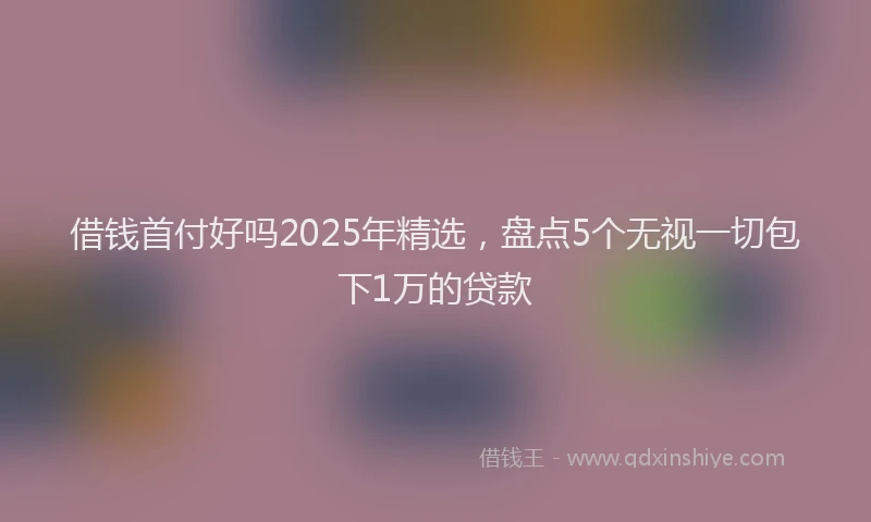 借钱首付好吗2025年精选，盘点5个无视一切包下1万的贷款