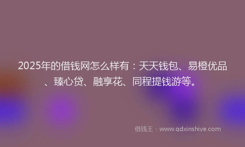 2025年的借钱网怎么样有：天天钱包、易橙优品、臻心贷、融享花、同程提钱游等。