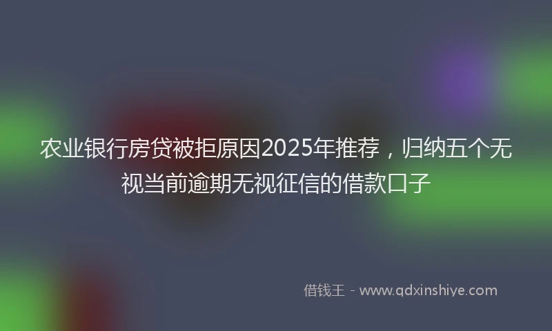 农业银行房贷被拒原因2025年推荐，归纳五个无视当前逾期无视征信的借款口子
