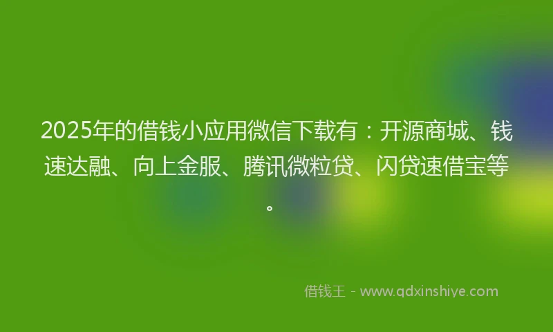 2025年的借钱小应用微信下载有：开源商城、钱速达融、向上金服、腾讯微粒贷、闪贷速借宝等。