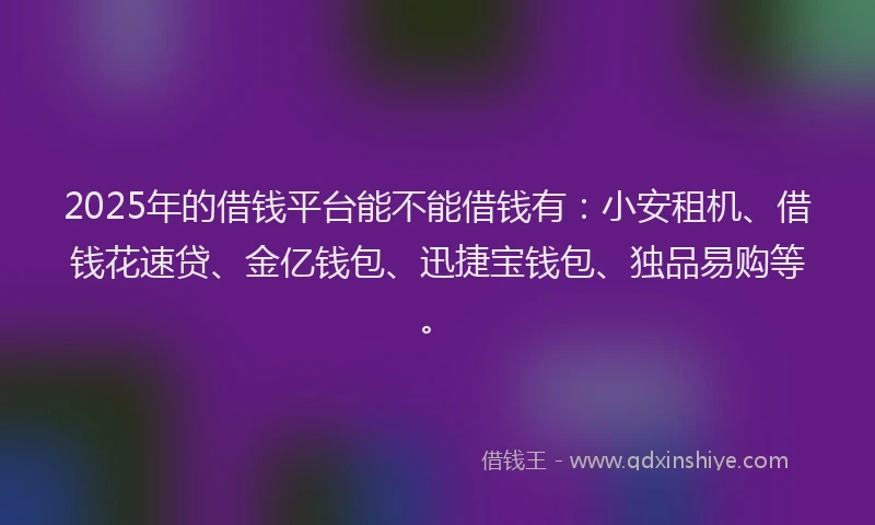 2025年的借钱平台能不能借钱有：小安租机、借钱花速贷、金亿钱包、迅捷宝钱包、独品易购等。