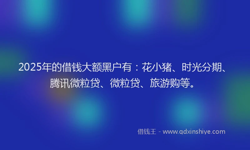 2025年的借钱大额黑户有：花小猪、时光分期、腾讯微粒贷、微粒贷、旅游购等。