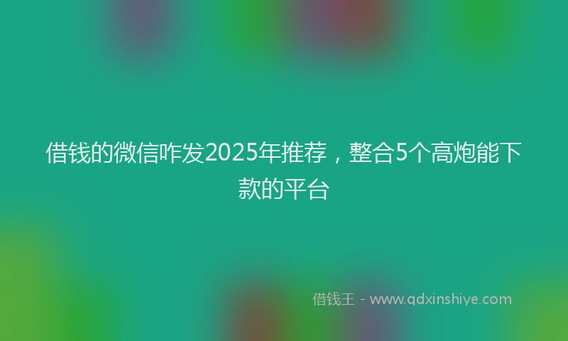 借钱的微信咋发2025年推荐，整合5个高炮能下款的平台
