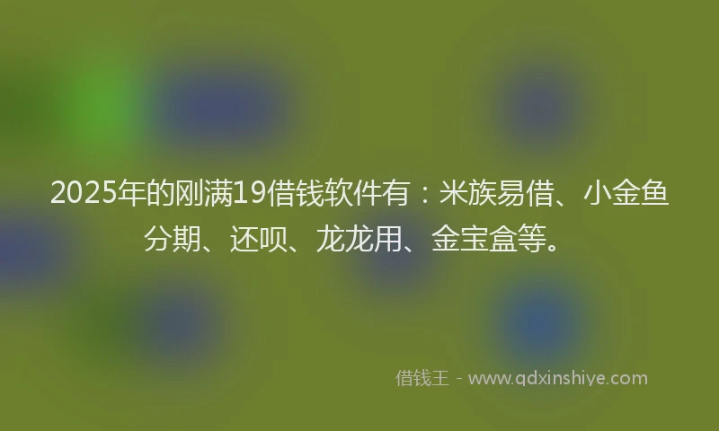 2025年的刚满19借钱软件有：米族易借、小金鱼分期、还呗、龙龙用、金宝盒等。