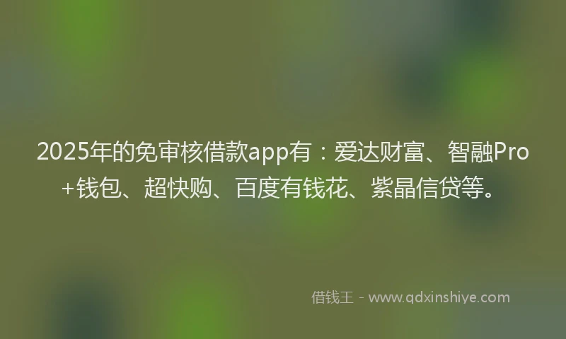 2025年的免审核借款app有：爱达财富、智融Pro+钱包、超快购、百度有钱花、紫晶信贷等。