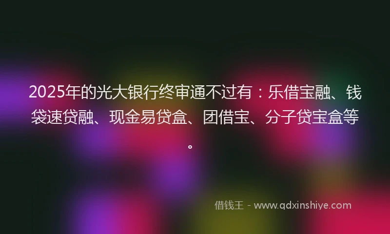 2025年的光大银行终审通不过有：乐借宝融、钱袋速贷融、现金易贷盒、团借宝、分子贷宝盒等。