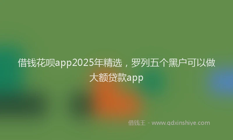 借钱花呗app2025年精选，罗列五个黑户可以做大额贷款app