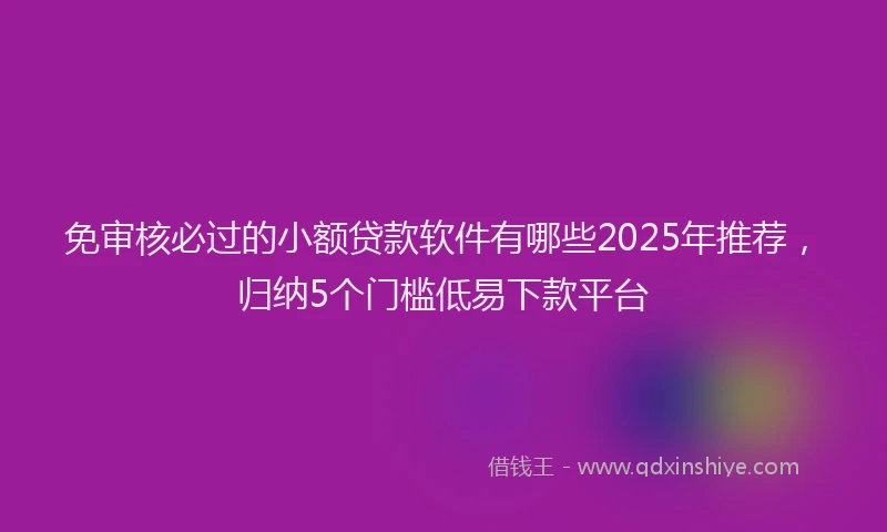 免审核必过的小额贷款软件有哪些2025年推荐，归纳5个门槛低易下款平台