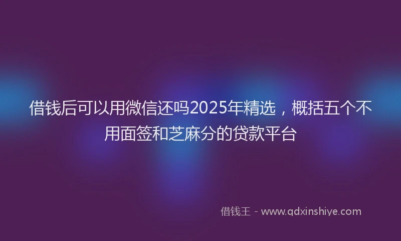 借钱后可以用微信还吗2025年精选，概括五个不用面签和芝麻分的贷款平台