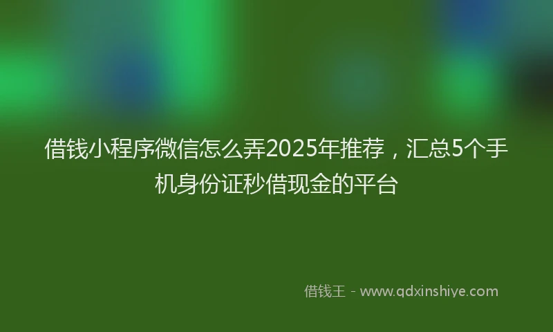 借钱小程序微信怎么弄2025年推荐，汇总5个手机身份证秒借现金的平台