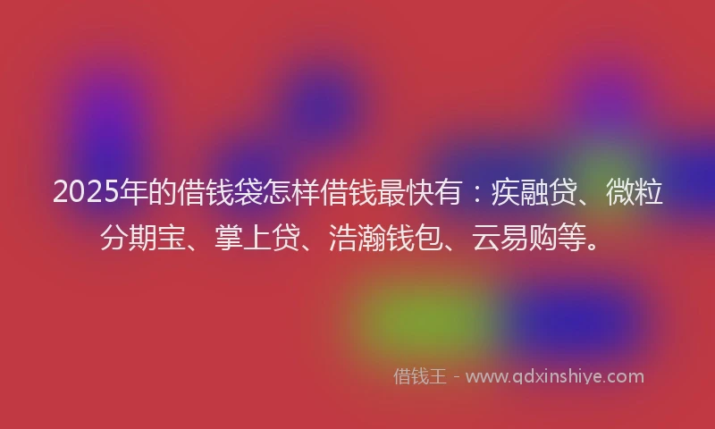 2025年的借钱袋怎样借钱最快有：疾融贷、微粒分期宝、掌上贷、浩瀚钱包、云易购等。