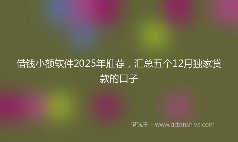 借钱小额软件2025年推荐，汇总五个12月独家贷款的口子