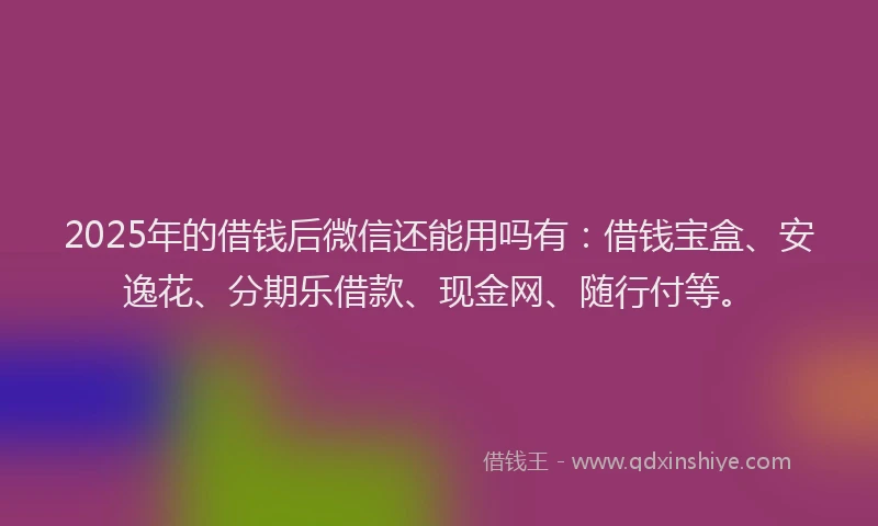 2025年的借钱后微信还能用吗有：借钱宝盒、安逸花、分期乐借款、现金网、随行付等。