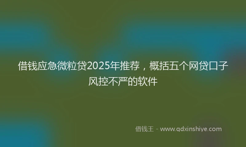 借钱应急微粒贷2025年推荐，概括五个网贷口子风控不严的软件