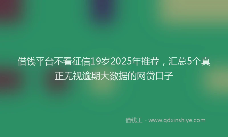 借钱平台不看征信19岁2025年推荐，汇总5个真正无视逾期大数据的网贷口子