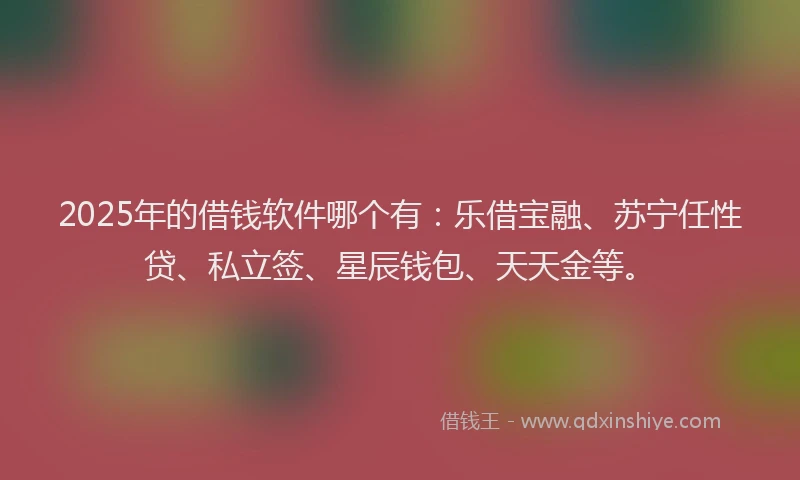 2025年的借钱软件哪个有：乐借宝融、苏宁任性贷、私立签、星辰钱包、天天金等。