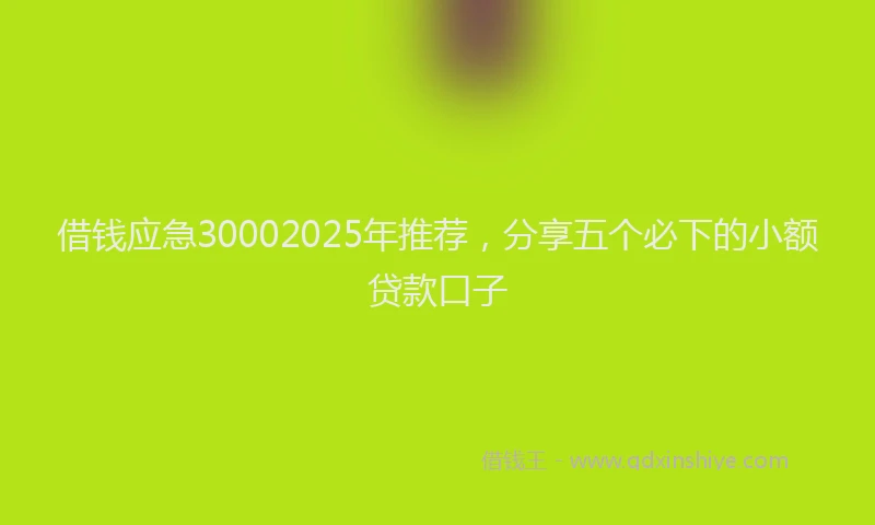 借钱应急30002025年推荐，分享五个必下的小额贷款口子