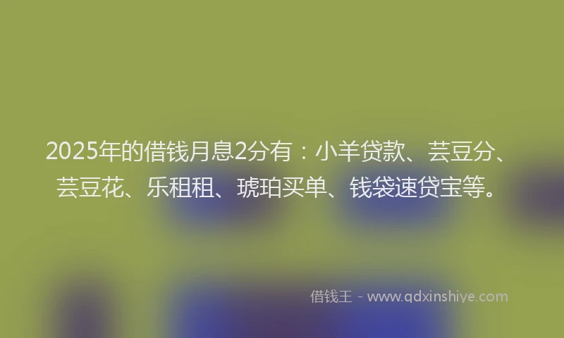2025年的借钱月息2分有：小羊贷款、芸豆分、芸豆花、乐租租、琥珀买单、钱袋速贷宝等。
