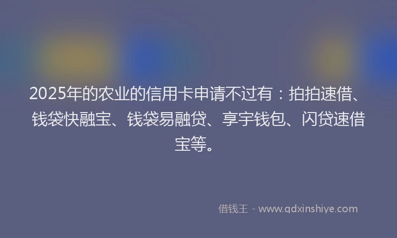 2025年的农业的信用卡申请不过有：拍拍速借、钱袋快融宝、钱袋易融贷、享宇钱包、闪贷速借宝等。