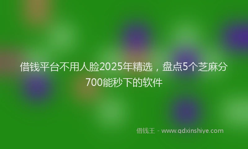 借钱平台不用人脸2025年精选，盘点5个芝麻分700能秒下的软件